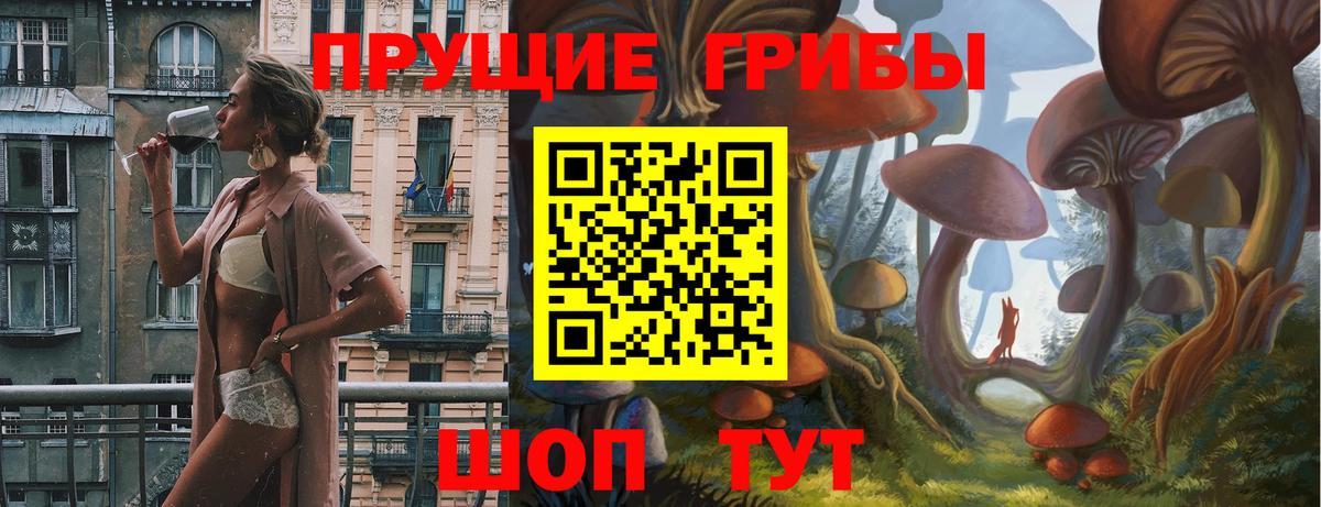 Галлюциногенные грибы Psilocybe Камень-на-Оби