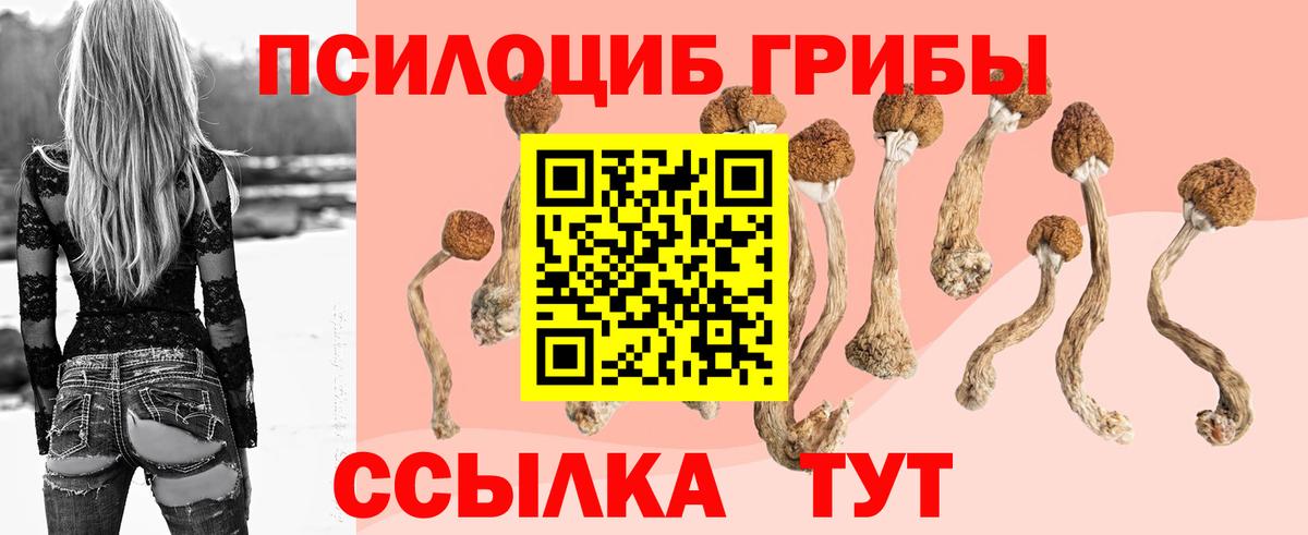 Галлюциногенные грибы Cubensis  Вход с VPN  сколько стоит  Камень-на-Оби 